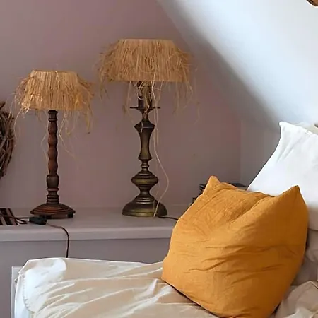 Ξενοδοχείο Boutique Jongwijs Westzaan