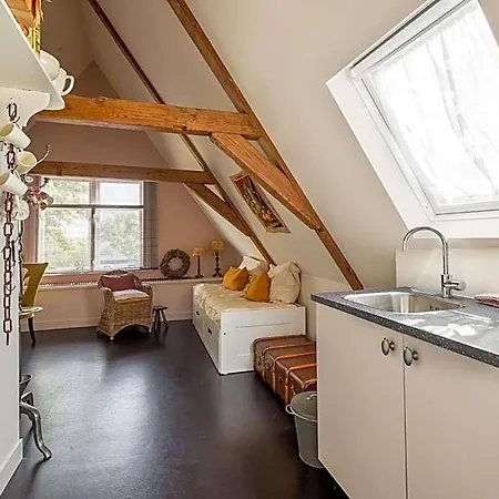 Boutique Jongwijs Westzaan *